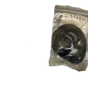 Perkins Seal Kit 20K Actuator - Helac